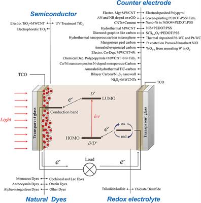Fabrication of Functional Materials for Dye-sensitized Solar Cells